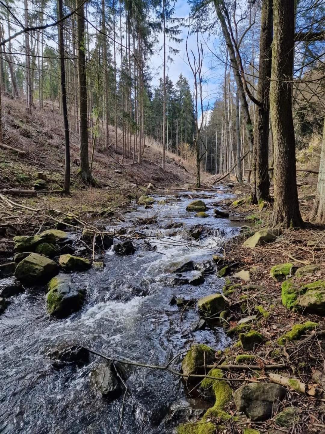 Penzion Slunecnice Kurimska Nova Ves Exterior foto